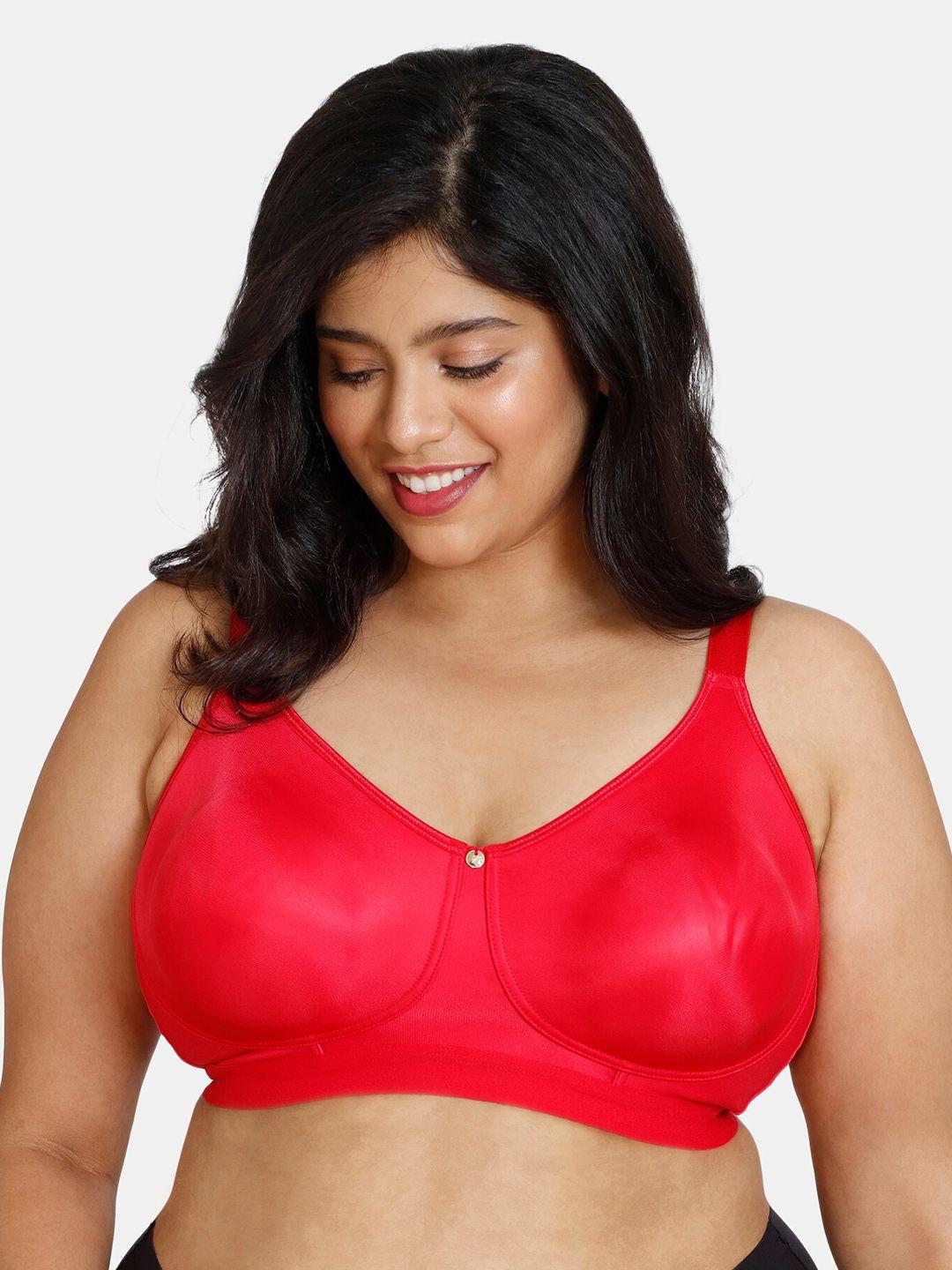 zivame plus size lightly padded non wired seamless bra