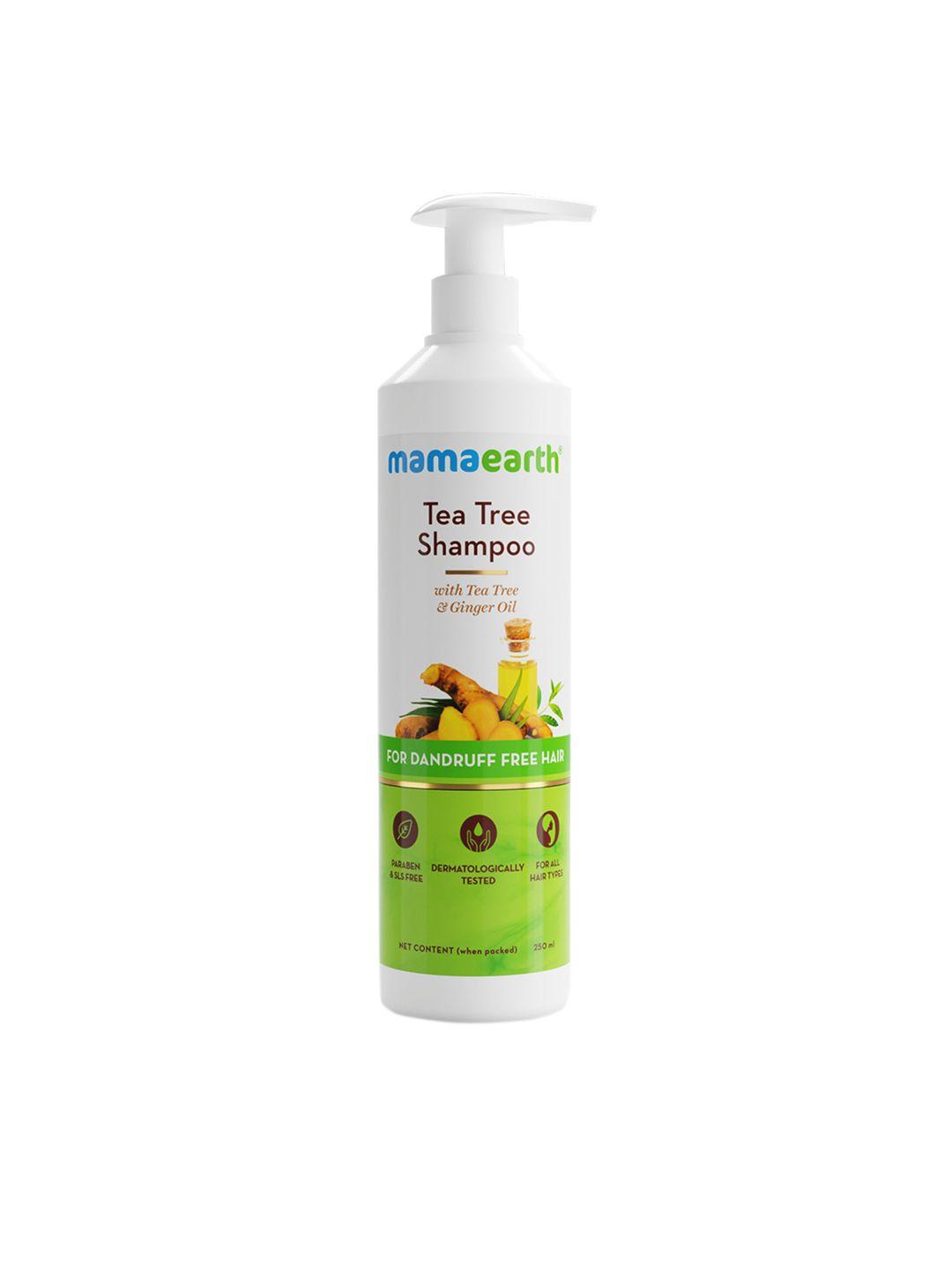 mamaearth sustainable tea tree anti dandruff shampoo with ginger oil 250 ml