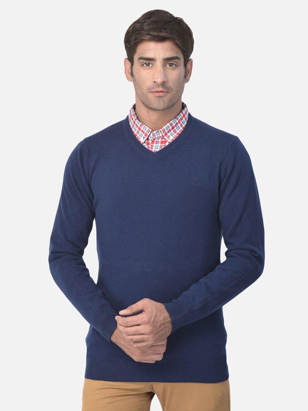 woods men blue solid v-neck  pullover