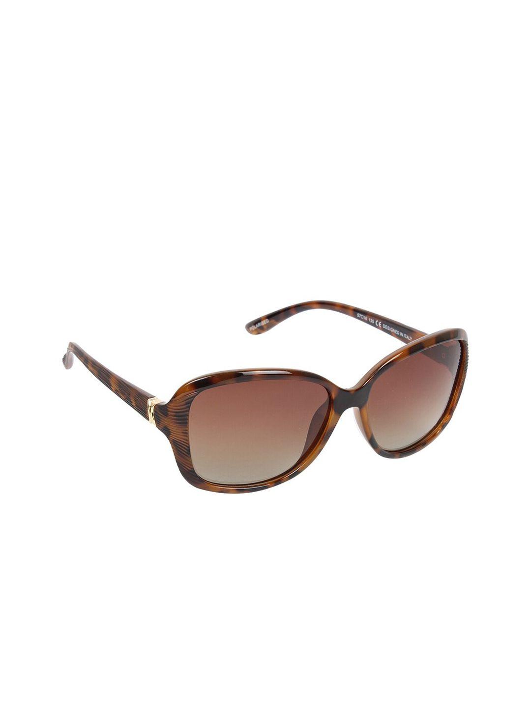 scavin women brown lens & brown square sunglasses with polarised lens sca s19910 c2