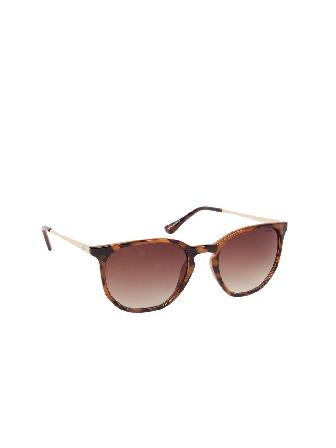 lee cooper women brown lens & brown square sunglasses with uv protected lens