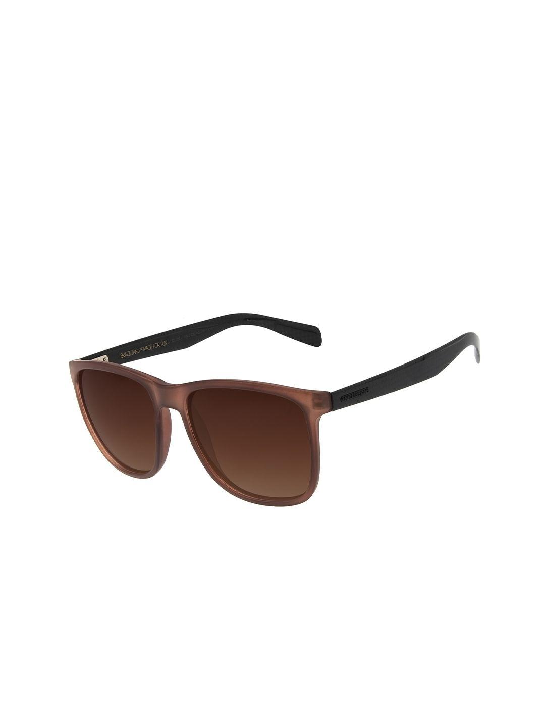 chilli beans men bronze lens & brown square sunglasses with uv protected lens