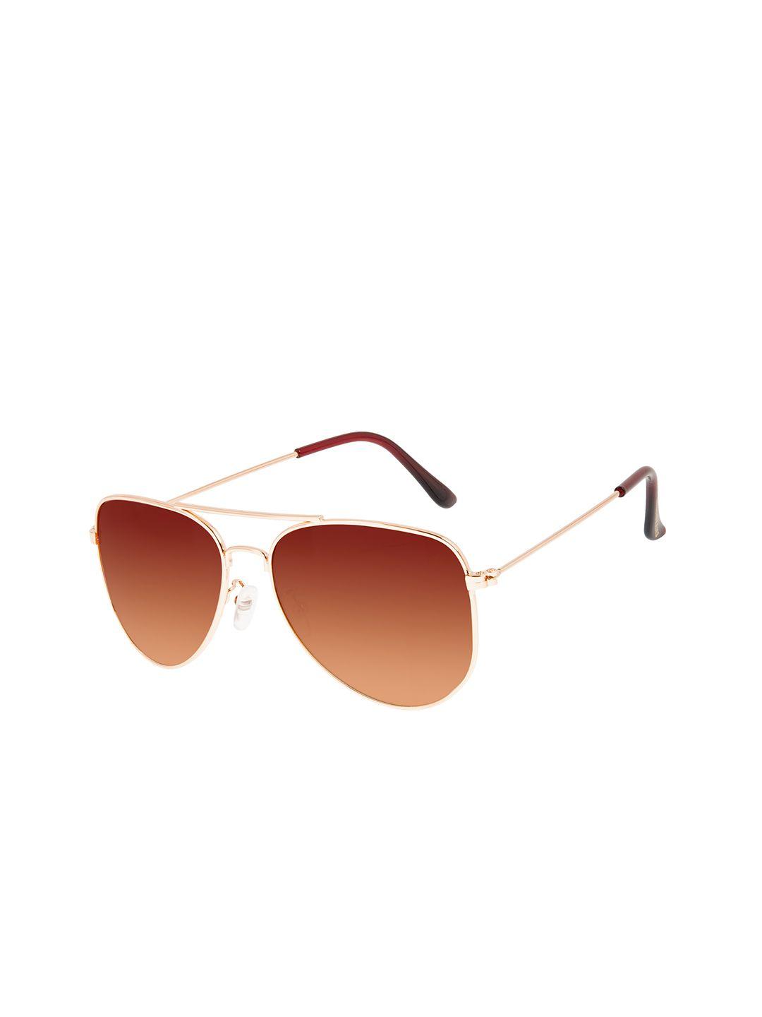 chilli beans brown lens & gold-toned aviator sunglasses with uv protected lens