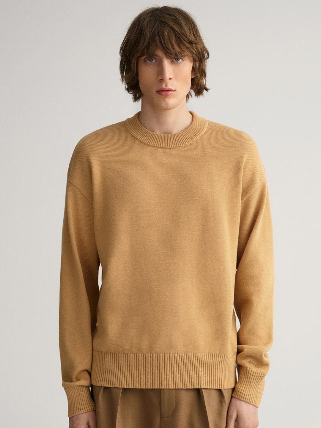 gant men beige pullover