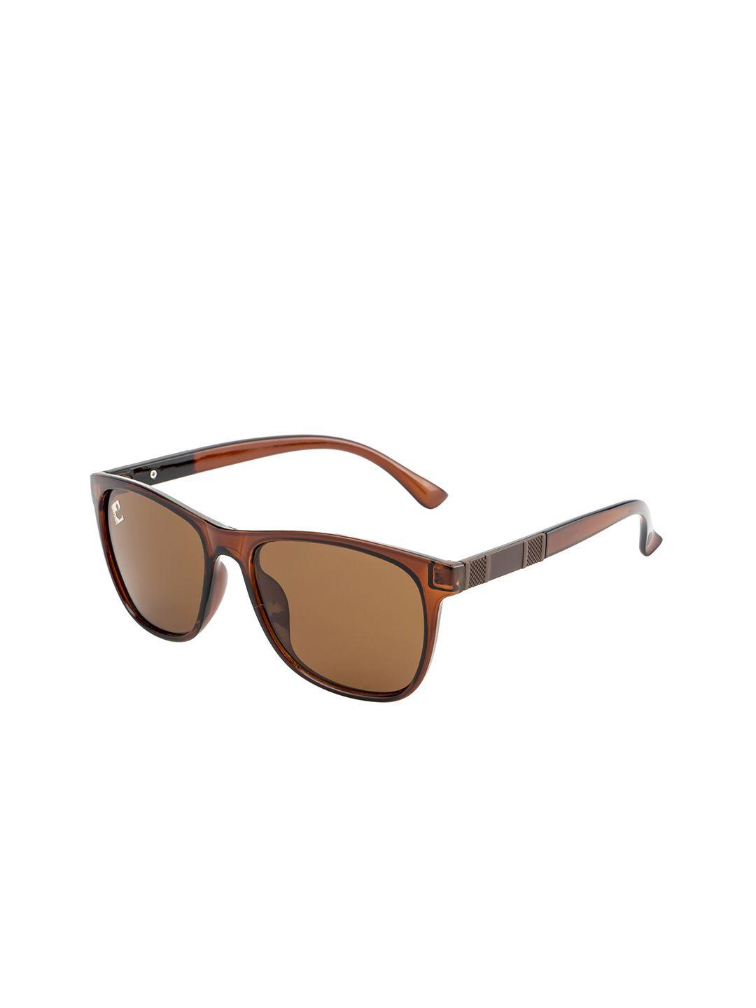 clark n palmer unisex brown lens & brown wayfarer sunglasses with polarised and uv protected lens