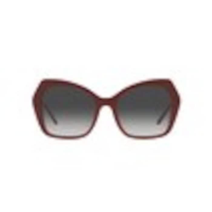 women bordeaux butterfly acetate sunglass