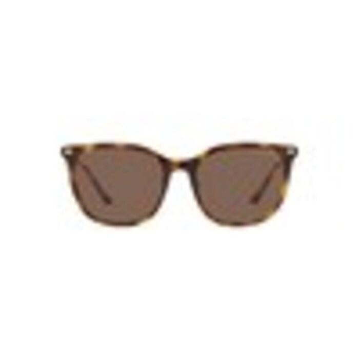 women havana cat-eye injected sunglass