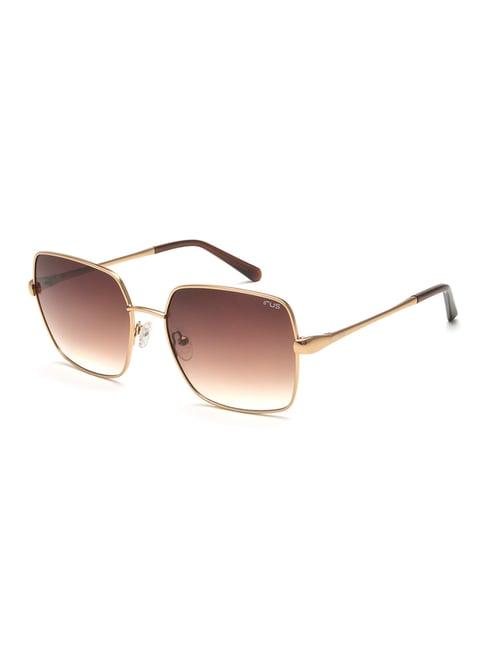 irus by idee brown butterfly sunglasses for women