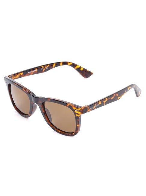 skechers brown wayfarer sunglasses for men