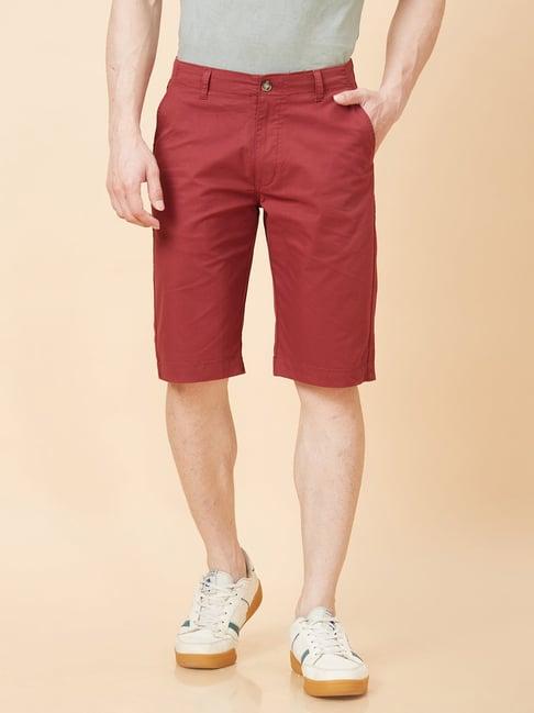 globus maroon regular fit chino shorts