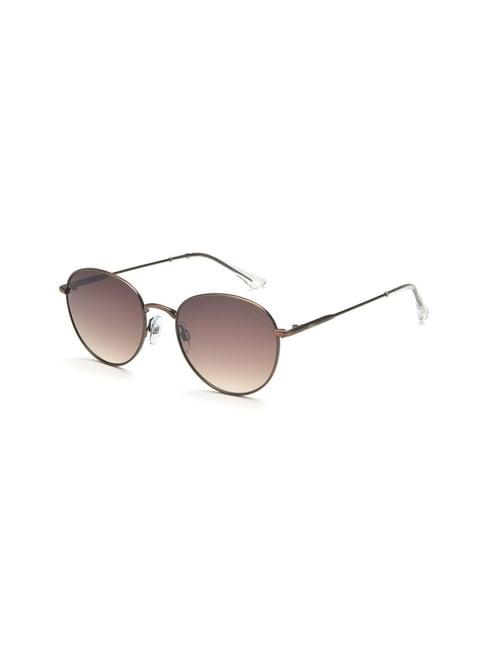 fila brown oval sunglasses for women