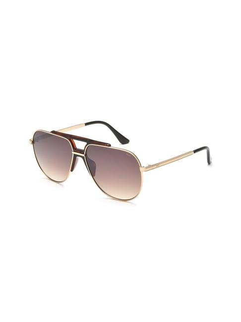 fila brown pilot sunglasses for men