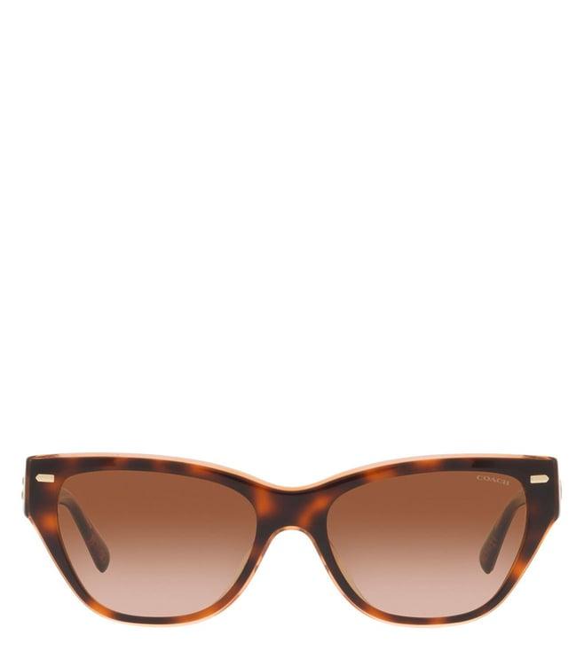 coach 0hc8370u57441354 brown creative class uv protection cat eye sunglasses for women