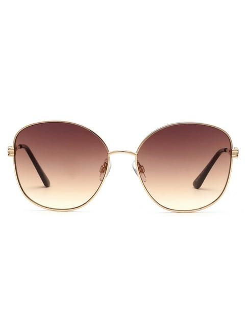 bebe brown round sunglasses for women