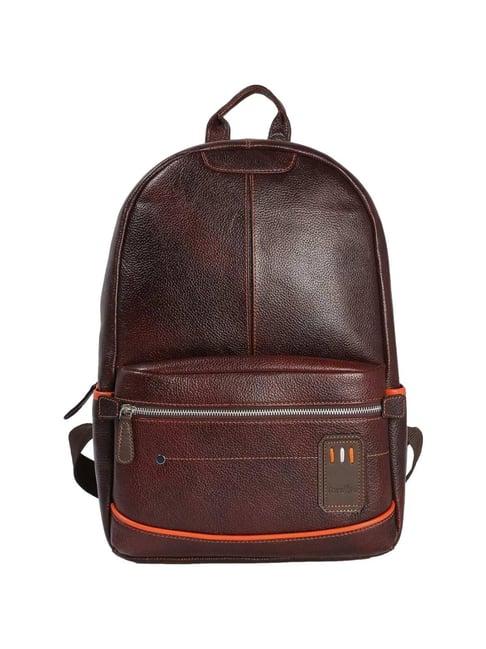 tortoise work edition roberto 4 ltrs dark brown medium laptop backpack