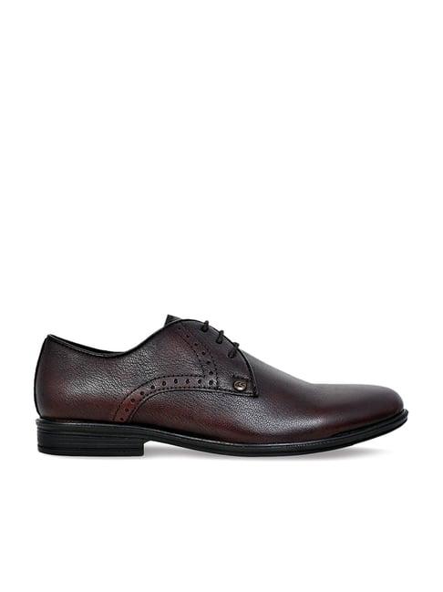 allen cooper men's brown brogue shoes