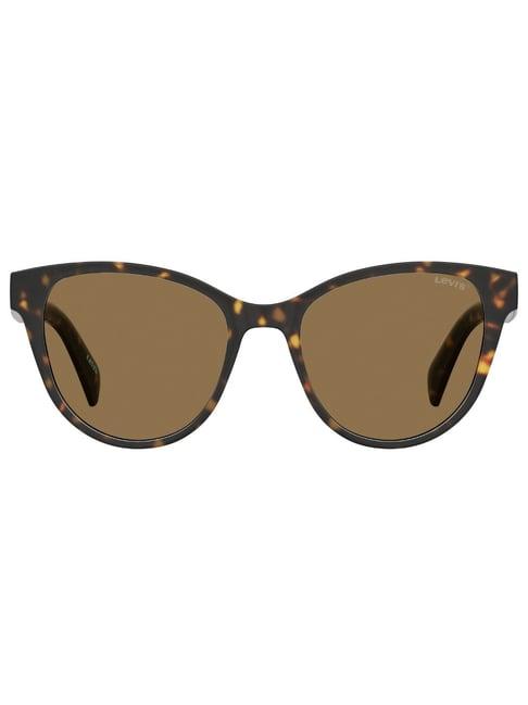 levi's brown cat eye sunglasses for women