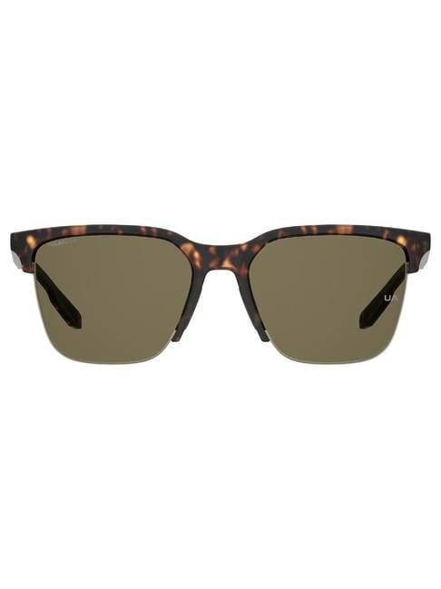 under armour brown clubmaster sunglasses for men