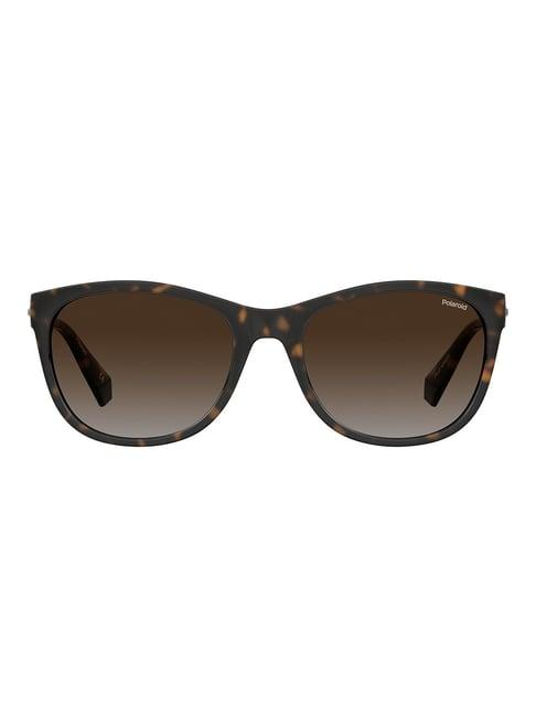 polaroid brown cat eye sunglasses for women