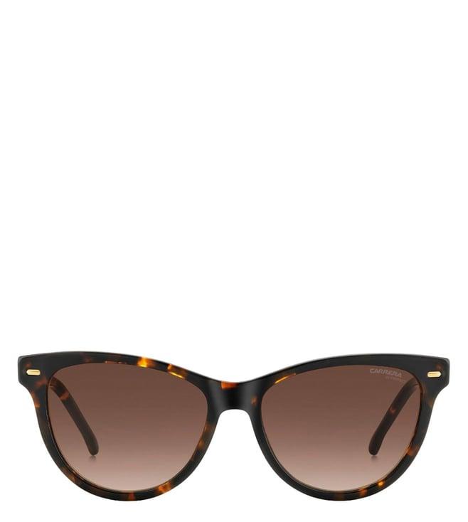 carrera 20632508654ha brown uv protected cat eye sunglasses for women