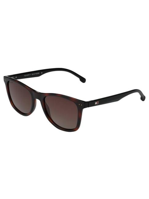 tommy hilfiger brown wayfarer uv protection unisex sunglasses