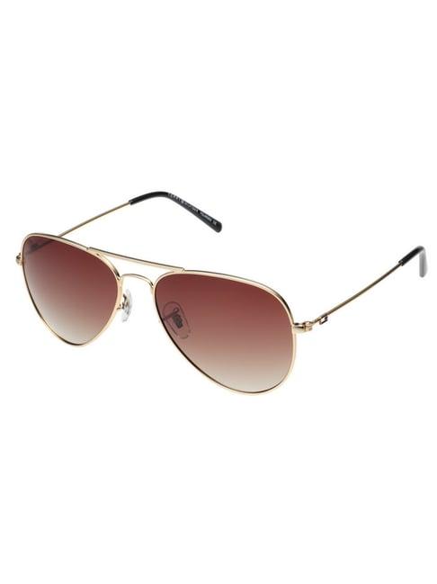 tommy hilfiger brown aviator uv protection sunglasses for men