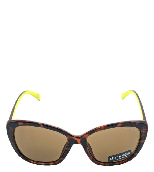 steve madden x17034 brown uv protected cat eye sunglasses for women