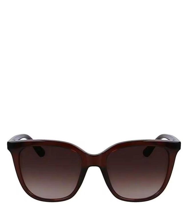 calvin klein ck23506 brown uv protected sunglasses for women