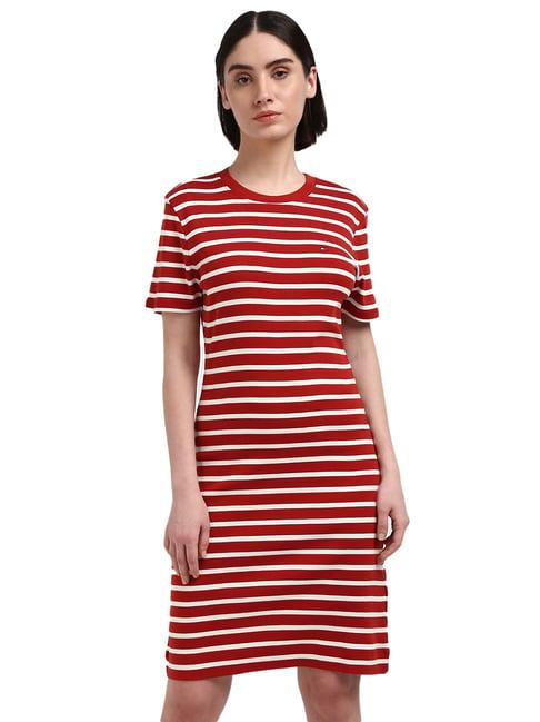 tommy hilfiger red cotton striped women bodycon dress