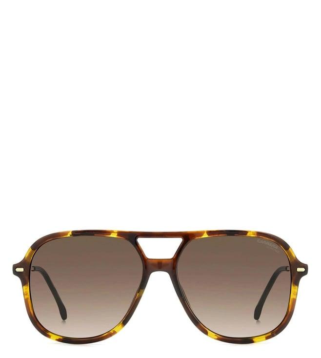 carrera 20632805l58ha brown uv protected aviator sunglasses for women