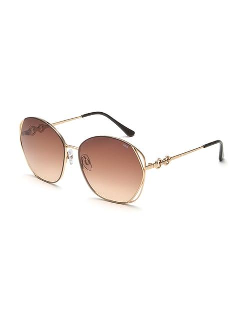 fila brown oval sunglasses for women