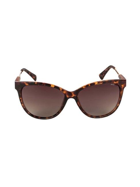 invu b2708b brown polarized square sunglasses