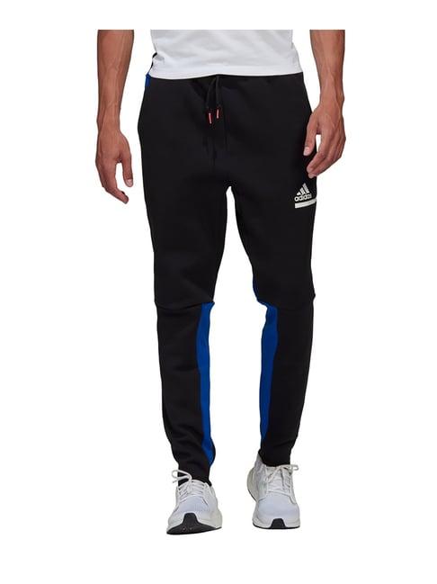 adidas zne pant black & blue regular fit trackpants