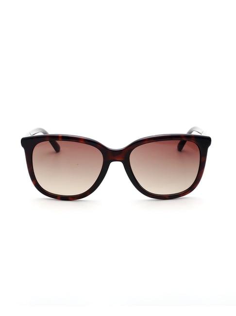 bebe bb3052 brown gradient square sunglasses