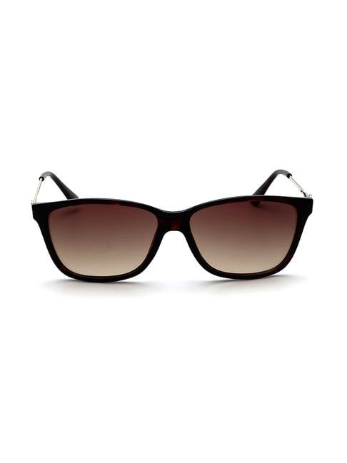 bebe bb3048 brown gradient square sunglasses