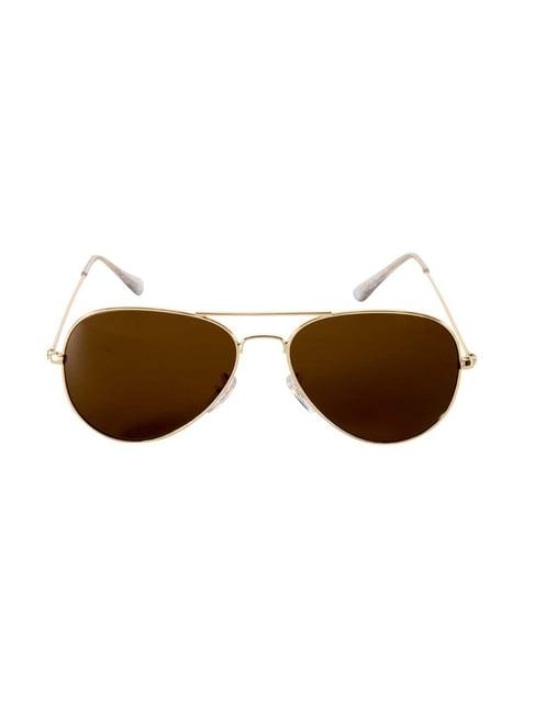 gio collection gm3025c03 brown aviator