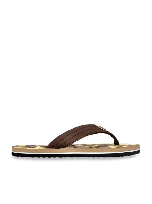 allen cooper men's brown flip flops