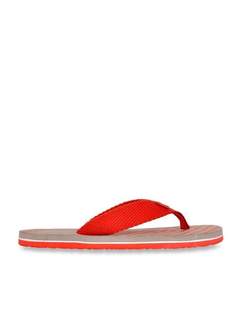 allen cooper men's red & grey flip flops