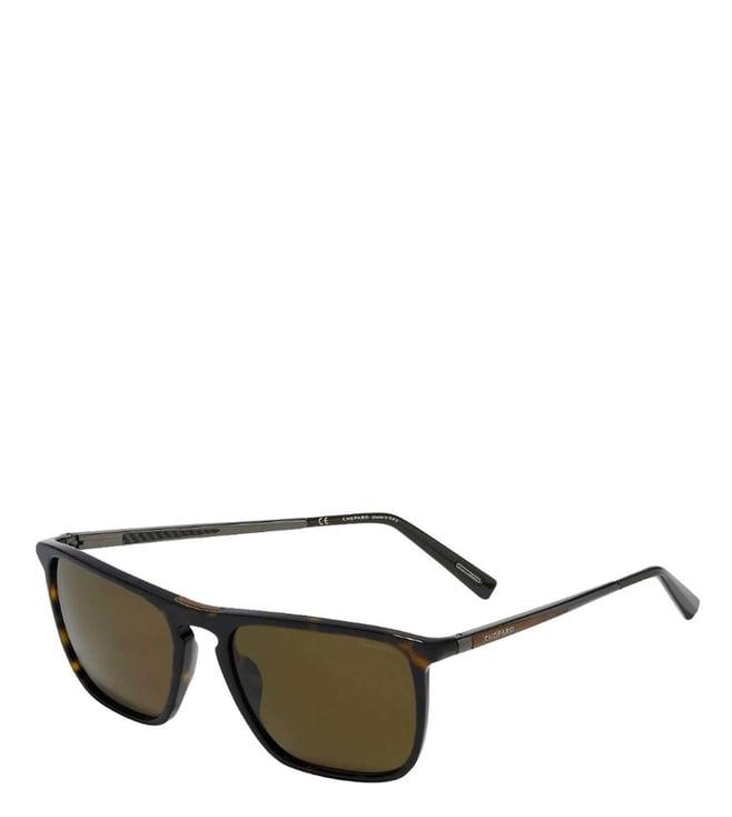 chopard brown sunglasses for men