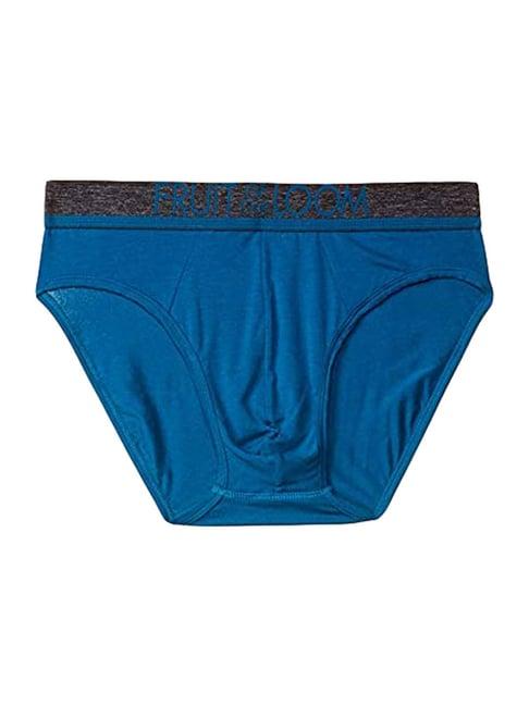 fruit of the loom mykonos blue briefs