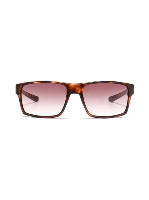 tommy hilfiger thniel brown gradient square sunglasses