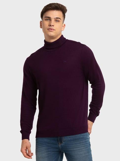 colorplus purple tailored fit sweaters