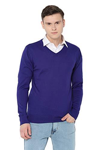 allen solly men's synthetic sweater (asswgrgb325422_navy_m)