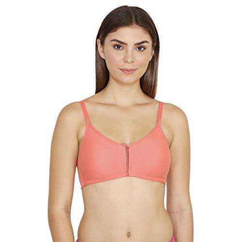 zivame women's synthetic non padded wire free t-shirt bra (zi1882-georgia peach_orange_34b_orange_34b)