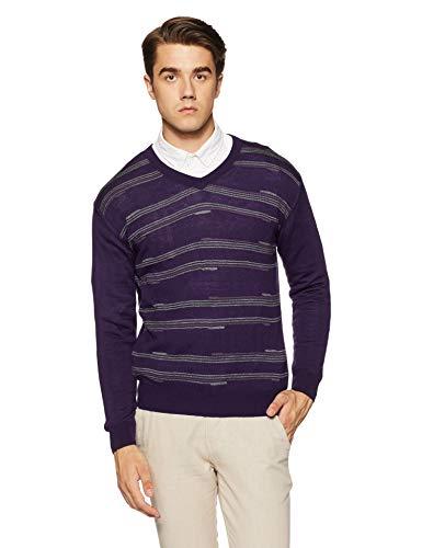 arrow sports men's sweater (8903839793346_akjs8518_small_dark purple)